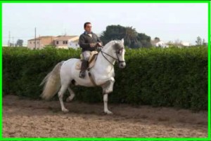 e4xcursiones para colegios