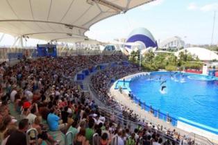 25484-Oceanografic---3