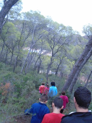 explora excursiones y proyectos educativos valencia (39)