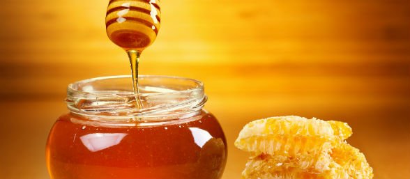 httpstved-prod.adobecqms.netcontentdameditorialTelevisamexicomuyinteresantemxciencia1501miel.imgo_