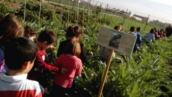 Ninos-asisten-talleres-Planta-Cull_EDIIMA20160930_0782_19